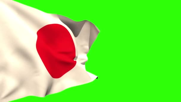 Large japan national flag blowing — Stock Video