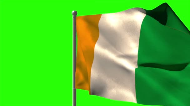 Ivory coast national flag waving — Stock Video