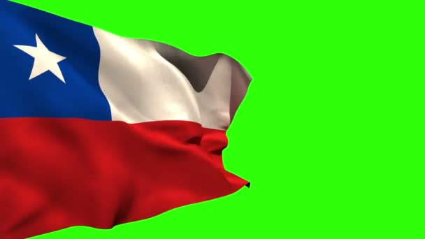 Large chile national flag blowing — Stock Video