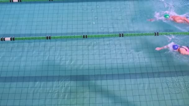 Fitte Schwimmer rasen ins Becken — Stockvideo