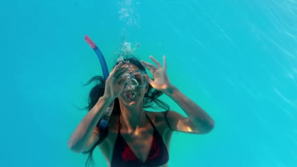 Brünette schwimmt unter Wasser — Stockvideo