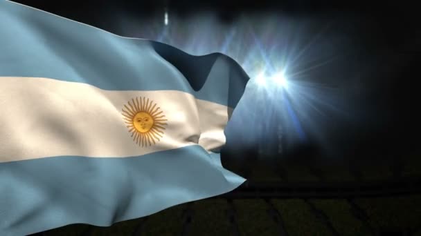 Grand drapeau national argentin agitant — Video