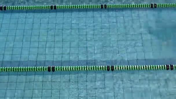 Fit mujer haciendo el golpe de mariposa en la piscina — Vídeos de Stock