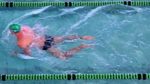 Ajuste nadador haciendo el golpe de pecho en la piscina — Vídeo de stock