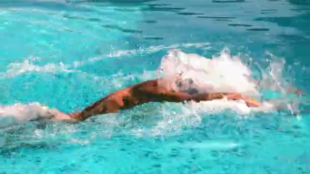 Adatta nuotatore facendo il colpo di farfalla in piscina — Video Stock