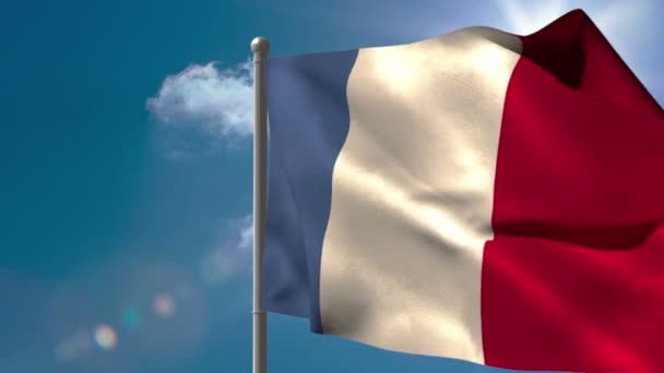 Fransa ulusal bayrak sallayarak — Stok video