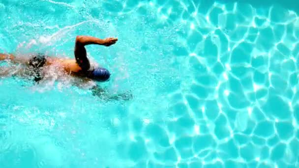 Athletic swimmer swimming — Stock Video