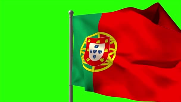 Portugal bandera nacional ondeando — Vídeo de stock
