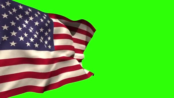 Large usa national flag blowing — Stock Video