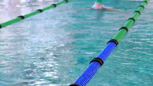 Ajuste nadador haciendo el golpe de pecho en la piscina — Vídeo de stock