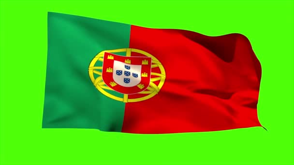 Portugal nationale vlag waait — Stockvideo