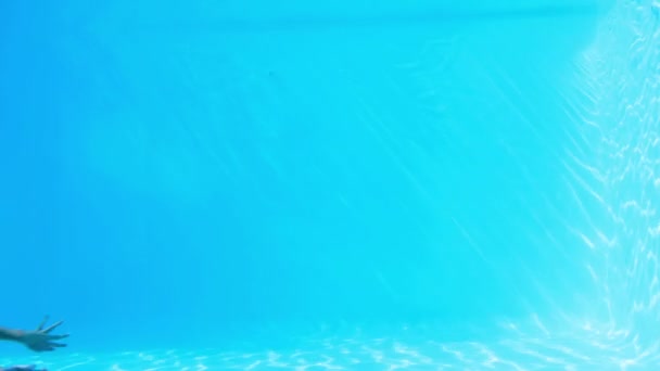Красивая брюнетка плавает под водой в бассейне — стоковое видео