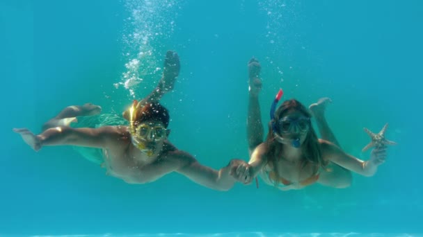 Couple wearing snorkels holding starfish underwater — Stock Video