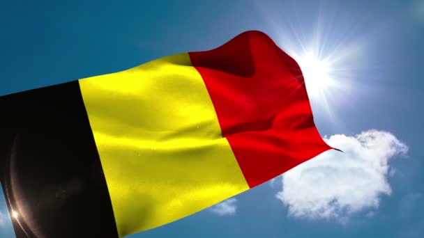 Belgium national flag blowing — Stock Video