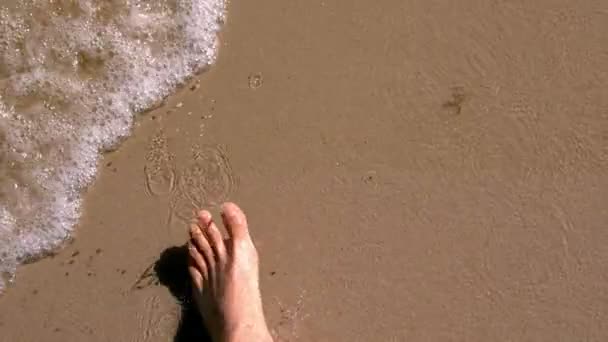 Man lopen door de zee barefoot — Stockvideo