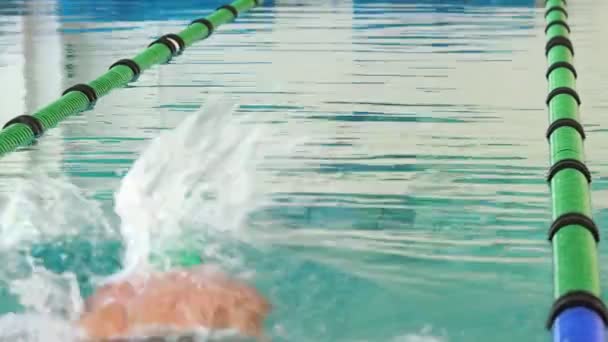 Maillot de bain fit la course avant dans la piscine — Video