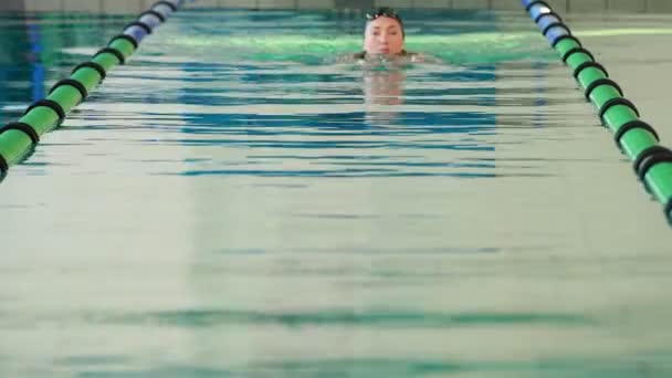 Adatta nuotatore facendo l'ictus al seno in piscina — Video Stock