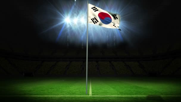 Korea republic national flag waving — Stock Video