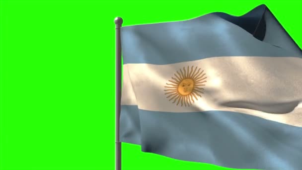 Bandeira nacional Argentina acenando — Vídeo de Stock