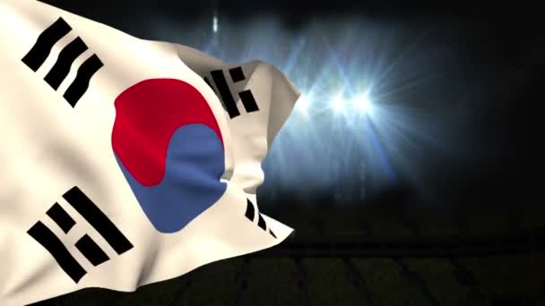 큰 한국 공화국 국기를 흔들며 — 비디오