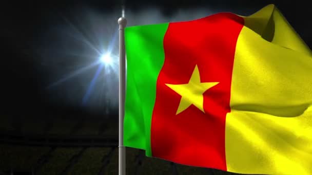 Drapeau national du Cameroun agitant — Video