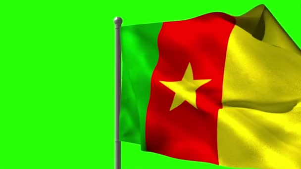 Cameroon national flag waving — Stock Video