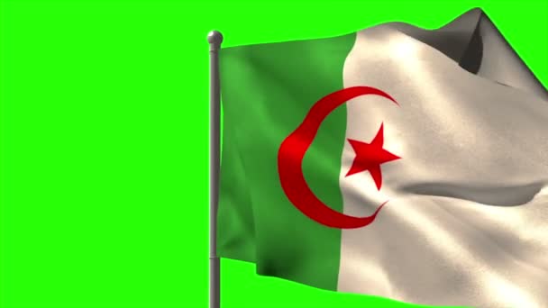 Algeria national flag waving — Stock Video