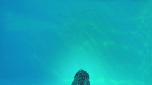 Happy man jumping in swimming pool waving at camera — Stock Video