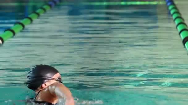 Adatto nuotatore facendo il colpo anteriore in piscina — Video Stock