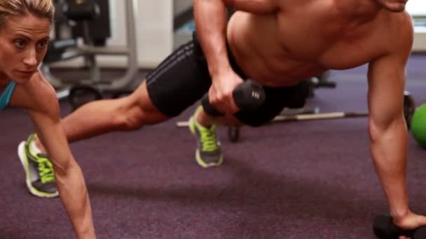 People lifting dumbbells in plank position — Stock Video