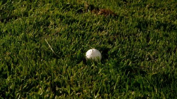 Гольф-клуб с мячом на поле — стоковое видео