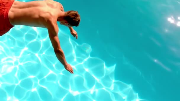 Fit mens duiken in het zwembad — Stockvideo
