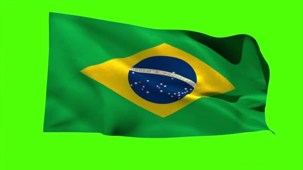 Brazil national flag blowing — Stock Video