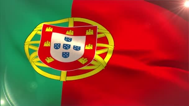 Grote portugal nationale vlag zwaaien — Stockvideo