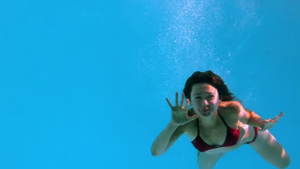 Morena feliz bajo el agua en la piscina — Vídeos de Stock