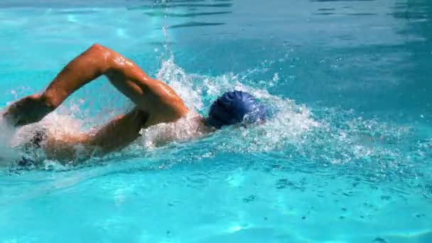 Fit nadador fazendo o golpe frontal na piscina — Vídeo de Stock