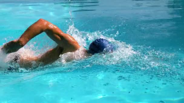 Fit swimmer doing the front stroke in the swimming pool — Stock Footage Fit swimmer doing the front stroke in the swimming pool Stock Video