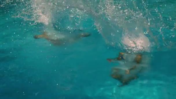 Freunde springen gemeinsam ins Schwimmbad — Stockvideo