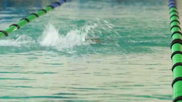 Fit nadador fazendo o golpe nas costas na piscina — Vídeo de Stock