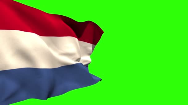 Large netherlands national flag blowing — Stock Video