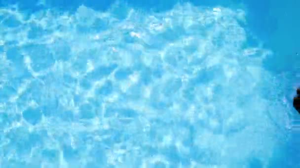 Overhead of brunette swimming in pool on sunny day — Stock Video