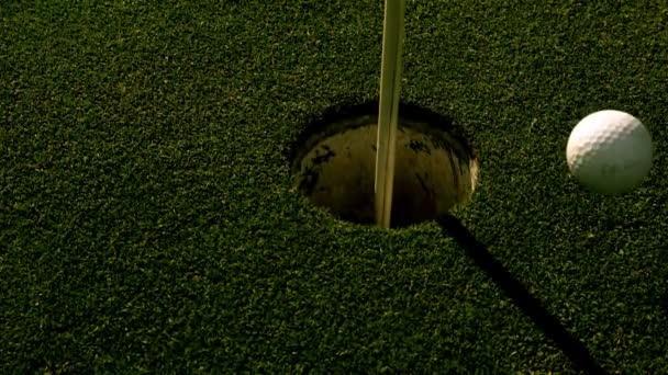 Golf ball rolling into the hole on putting green — Stock Video