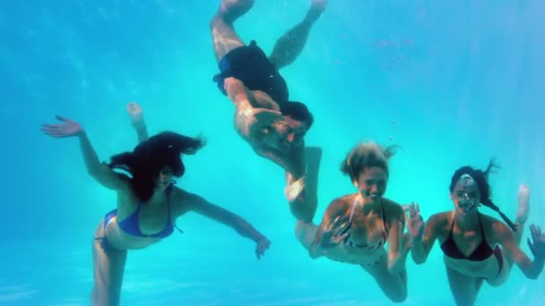 Amigos bajo el agua en la piscina juntos — Vídeos de Stock