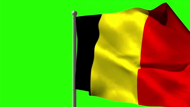 Belgium national flag waving — Stock Video