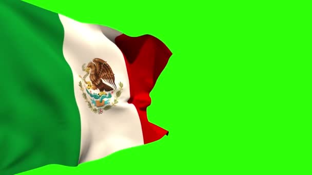 Large mexico national flag blowing — Stock Video