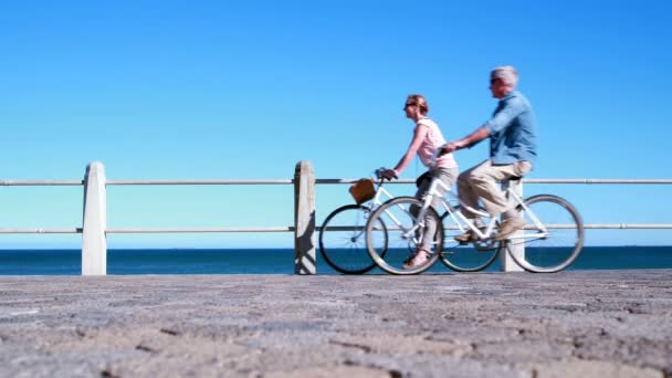 Senioren gaan op een fietstocht — Stockvideo