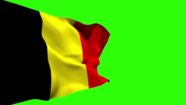 Large belgium national flag blowing — Stock Video