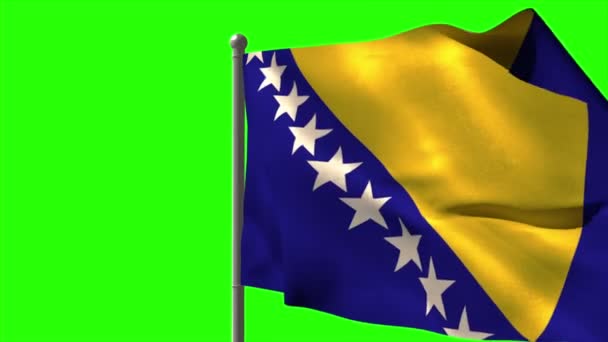 Bosnia bandera nacional ondeando — Vídeo de stock