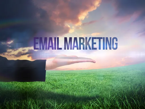 Businesswomans hand presenteren de woorden e-mail marketing — Stockfoto