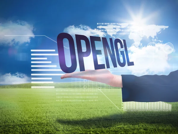 Empresarias mano presentando la palabra opengl —  Fotos de Stock